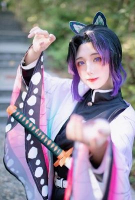 악마 학살자: Kimetsu no Yaiba Butterfly Ninja @猫猫Hcat (9P)