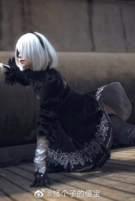 NieR: 오토마타 2B @작은소少宝(9P)