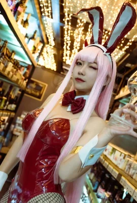 재치 있는 토끼Cosplay Zero Two Bunnygirl