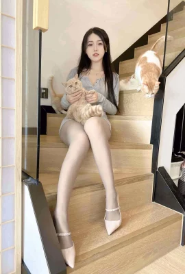 집 고양이 여자친구