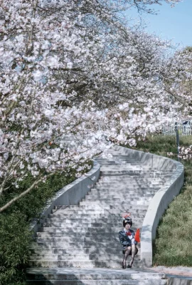 벡터 생선 폰 투어 가이드