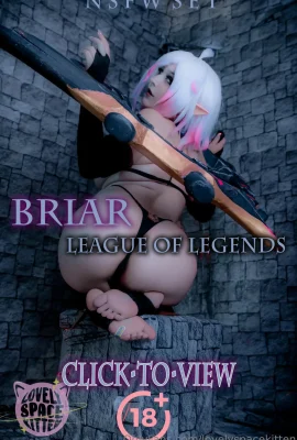 사랑스러운 우주 새끼 고양이 – Briar