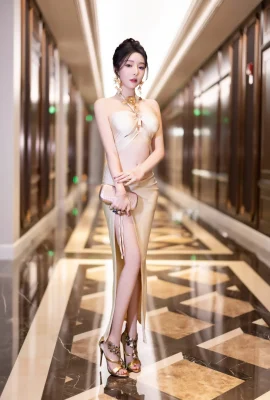 Wang Xinyao의 얇은 명주권 (98p)